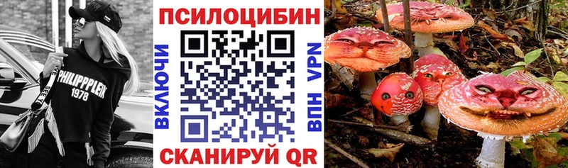 Псилоцибиновые грибы GOLDEN TEACHER Константиновск